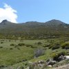 Marchas Club