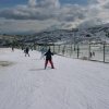 Ski
