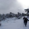 Siete Picos