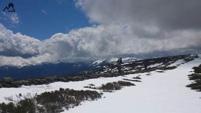 Foto  Pico Negro