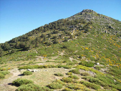 La Pinareja