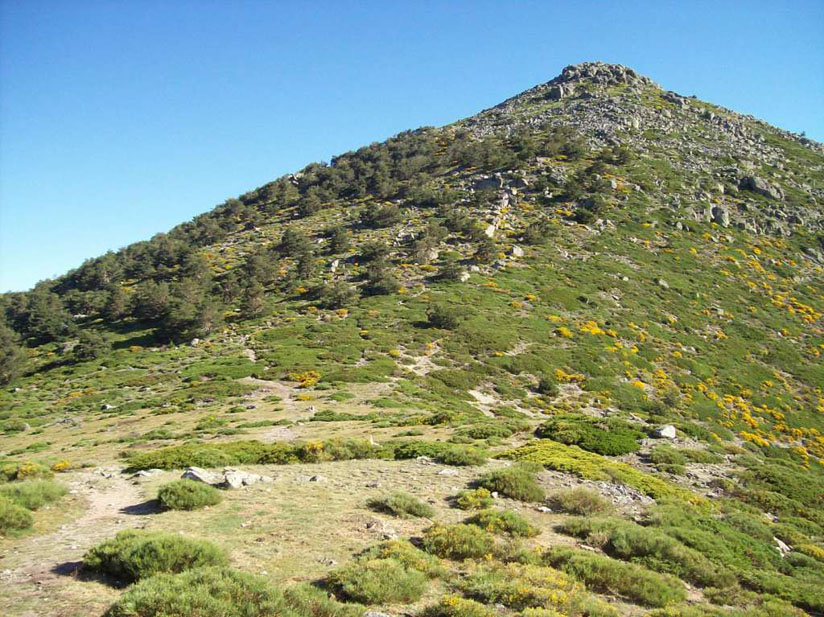 La Pinareja