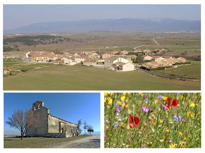 Espirdo
