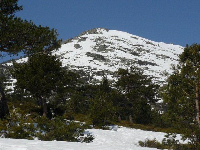 Imagen Montón de Trigo